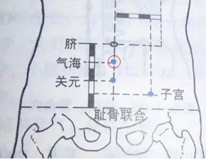 全身-气海:脐下1.5寸;关元:脐下3寸,该穴有调脏腑之气,行瘀滞之作用.